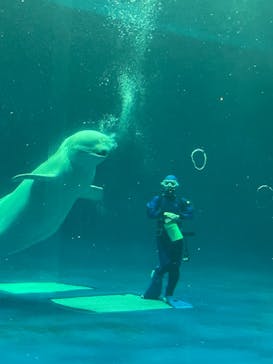 島根県立 しまね海洋館に投稿された画像（2021/5/3）