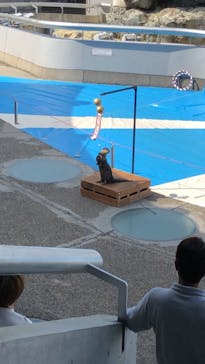 大分マリーンパレス水族館 「うみたまご」に投稿された画像（2021/5/3）