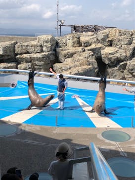大分マリーンパレス水族館 「うみたまご」に投稿された画像（2021/5/3）