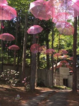 ロックハート城に投稿された画像（2021/5/3）