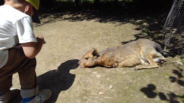 長崎バイオパークに投稿された画像（2021/5/3）