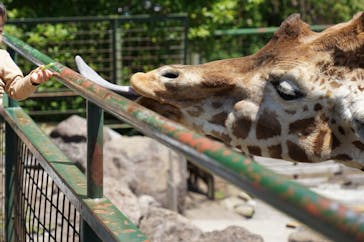 伊豆アニマルキングダムに投稿された画像（2021/5/3）