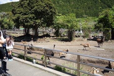 伊豆アニマルキングダムに投稿された画像（2021/5/3）