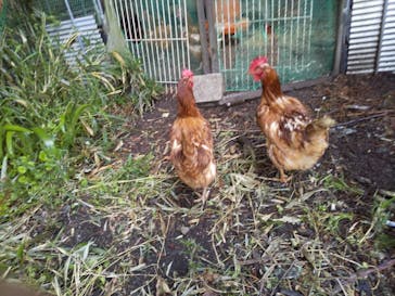 福田フルーツパークに投稿された画像（2021/5/3）