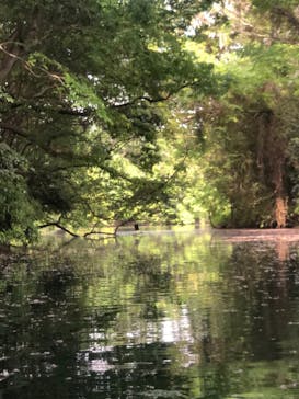 カヌーリゾートたまよどに投稿された画像（2021/5/3）