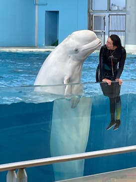 横浜・八景島シーパラダイスに投稿された画像（2021/5/3）
