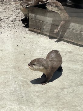 横浜・八景島シーパラダイスに投稿された画像（2021/5/3）