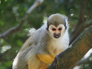 長崎バイオパークに投稿された画像（2021/5/3）