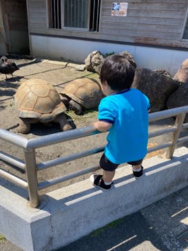 アロハガーデンたてやまに投稿された画像（2021/5/3）