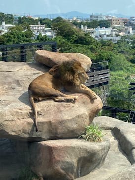 沖縄こどもの国に投稿された画像（2021/5/3）