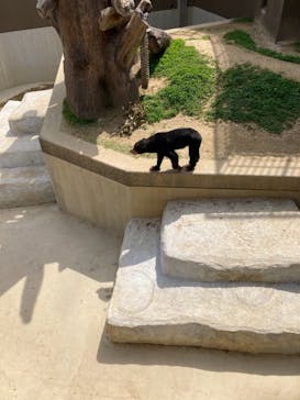 沖縄こどもの国に投稿された画像（2021/5/3）