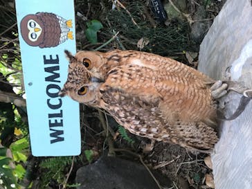 伊豆シャボテン動物公園に投稿された画像（2021/5/3）