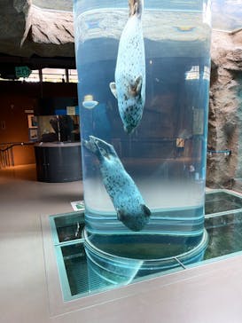 旭川市旭山動物園に投稿された画像（2021/5/3）