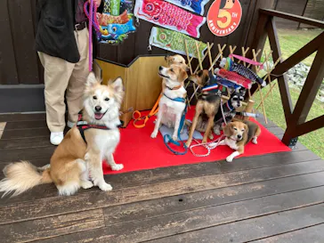 わんダフルネイチャーヴィレッジに投稿された画像（2021/5/3）