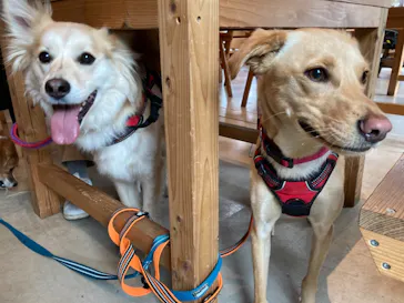 わんダフルネイチャーヴィレッジに投稿された画像（2021/5/3）