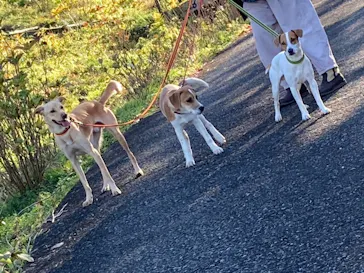 わんダフルネイチャーヴィレッジに投稿された画像（2021/5/3）