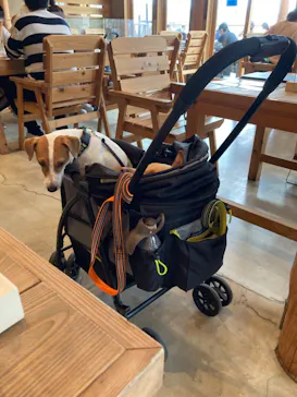 わんダフルネイチャーヴィレッジに投稿された画像（2021/5/3）