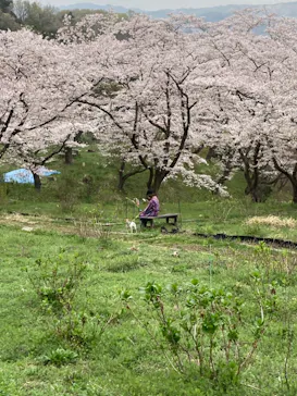 わんダフルネイチャーヴィレッジに投稿された画像（2021/5/3）