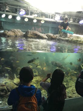 新江ノ島水族館に投稿された画像（2021/5/3）