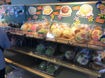 新江ノ島水族館に投稿された画像（2021/5/3）