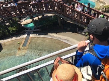 新江ノ島水族館に投稿された画像（2021/5/3）