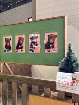 奥飛騨クマ牧場に投稿された画像（2021/5/3）