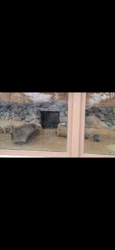 東武動物公園に投稿された画像（2021/5/3）