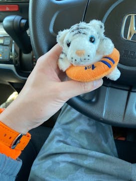 しろとり動物園に投稿された画像（2021/5/3）