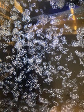 アクアワールド茨城県大洗水族館に投稿された画像（2021/5/3）