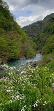 清津峡渓谷トンネルに投稿された画像（2021/5/3）