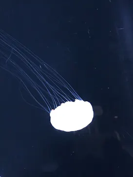 仙台うみの杜水族館に投稿された画像（2021/5/3）