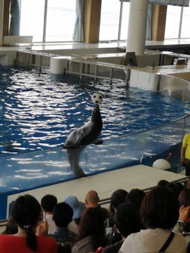 アクアワールド茨城県大洗水族館に投稿された画像（2021/5/3）