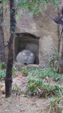 那須どうぶつ王国に投稿された画像（2021/5/3）