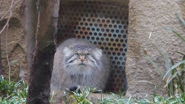 那須どうぶつ王国に投稿された画像（2021/5/3）