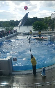 九十九島水族館海きららに投稿された画像（2021/5/3）