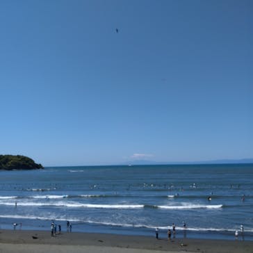 新江ノ島水族館に投稿された画像（2021/5/3）