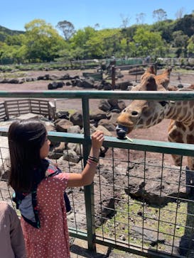 伊豆アニマルキングダムに投稿された画像（2021/5/3）