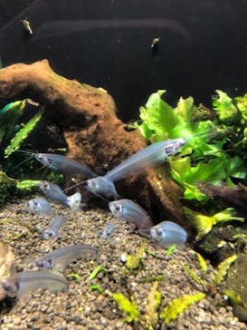 新江ノ島水族館に投稿された画像（2021/5/3）