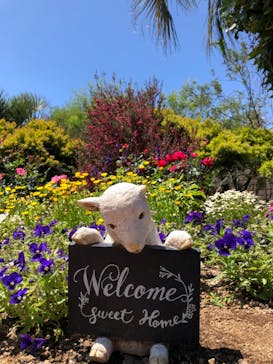 ニューヨークランプミュージアム＆フラワーガーデンに投稿された画像（2021/5/3）