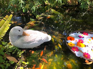 ニューヨークランプミュージアム＆フラワーガーデンに投稿された画像（2021/5/3）