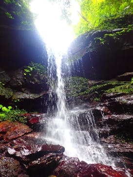 西表島 ADVENTURE PiPi（アドベンチャーピピ）に投稿された画像（2021/5/3）