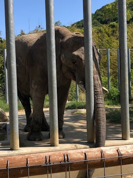 しろとり動物園に投稿された画像（2021/5/3）