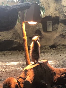 那須どうぶつ王国に投稿された画像（2021/5/3）