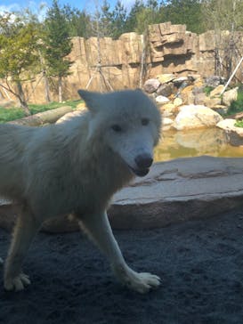 那須どうぶつ王国に投稿された画像（2021/5/3）