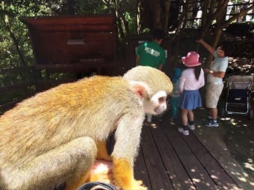 長崎バイオパークに投稿された画像（2021/5/3）