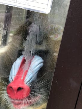 東武動物公園に投稿された画像（2021/5/3）