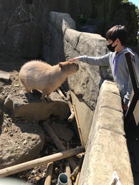 伊豆シャボテン動物公園に投稿された画像（2021/5/3）