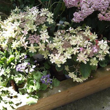 長崎バイオパークに投稿された画像（2021/5/3）