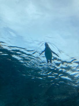 旭川市旭山動物園に投稿された画像（2021/5/3）