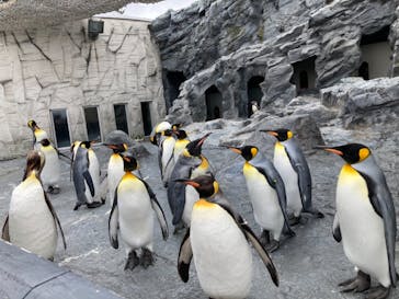 旭川市旭山動物園に投稿された画像（2021/5/3）